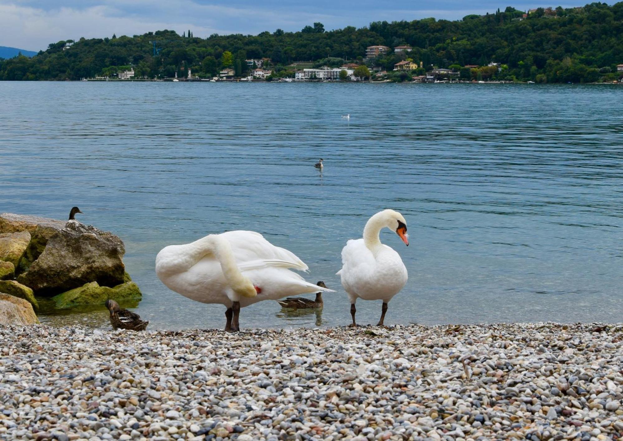 Villa Donne Del Lago Vittoria Salò Εξωτερικό φωτογραφία